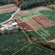 Elwood Orchards